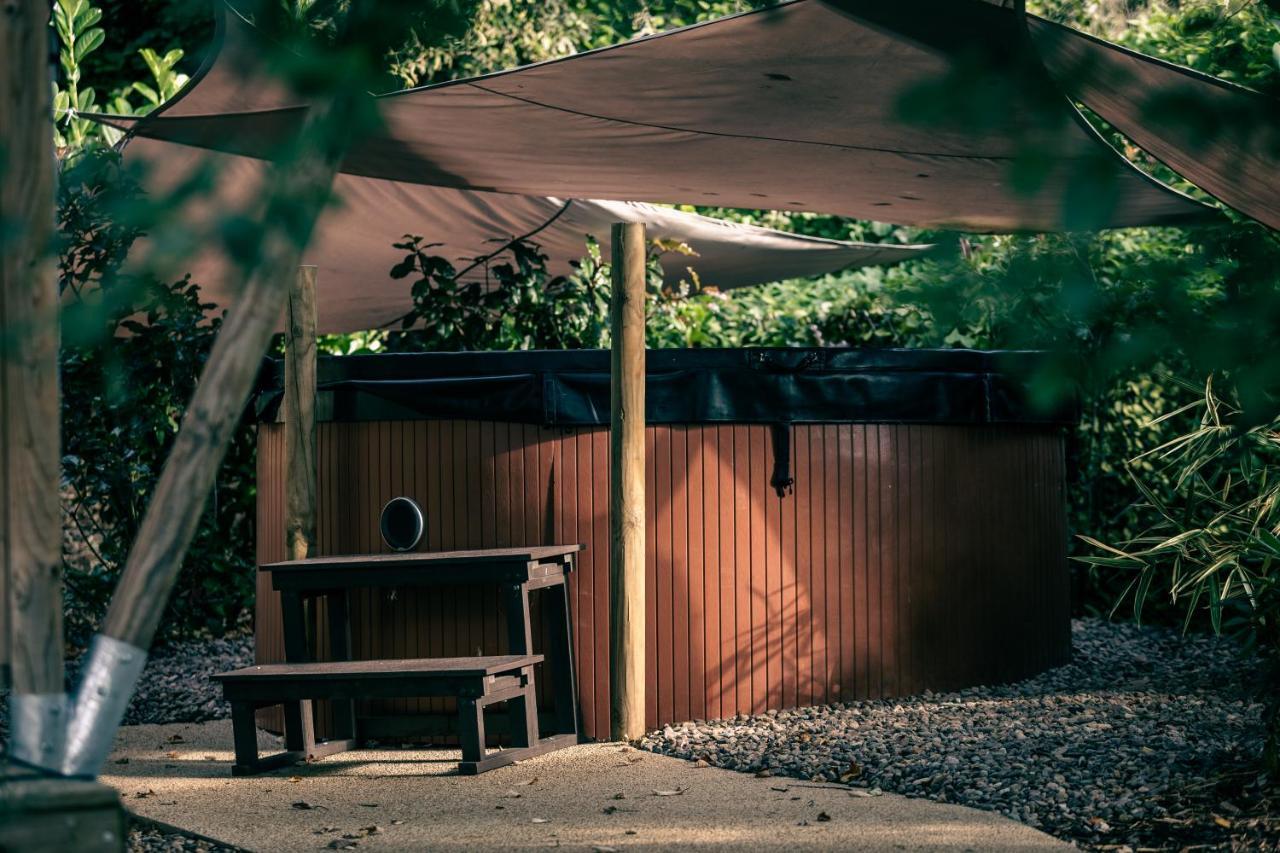 Lodges Des Grands Chenes Andelarrot Bagian luar foto